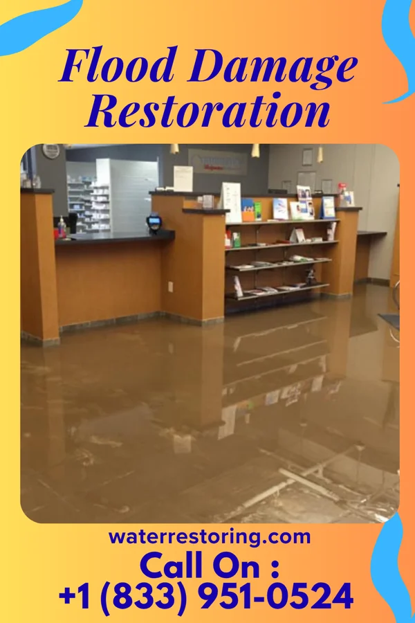 Flood Damage Restoration in Hilltown, VA
