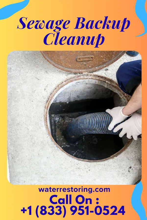 Sewage Backup Cleanup in Hilltown, VA