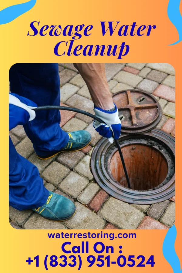 Sewage Water Cleanup in Hilltown, VA