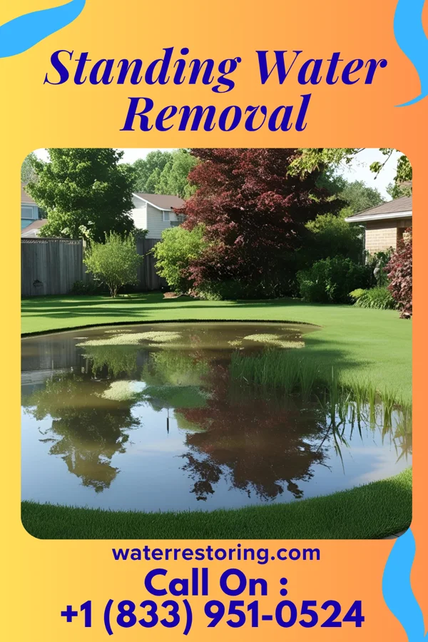 Standing Water Removal in Hilltown, VA